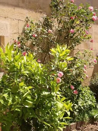 Jade O Castillon-la-Bataille